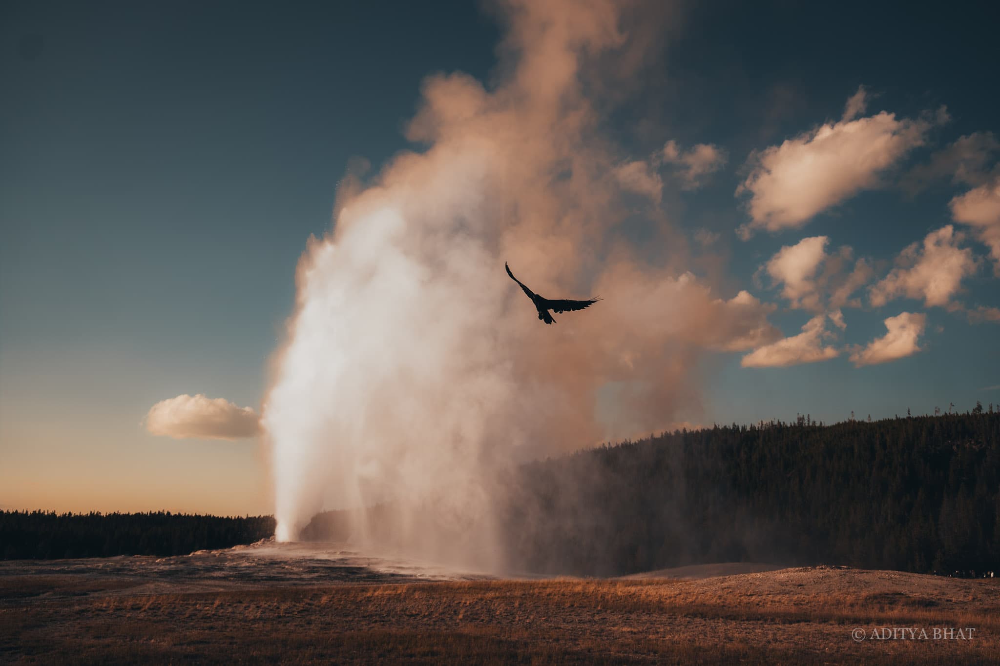Old Faithful at Golden Hour